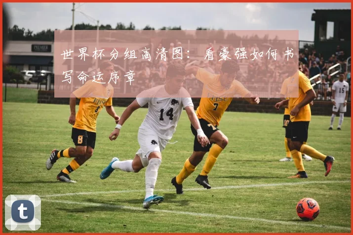 世界杯分组高清图:看豪强如何书写命运序章
