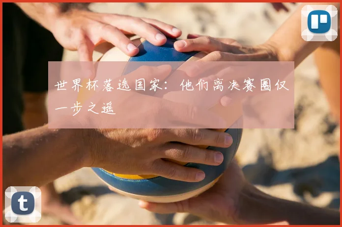 世界杯落选国家:他们离决赛圈仅一步之遥