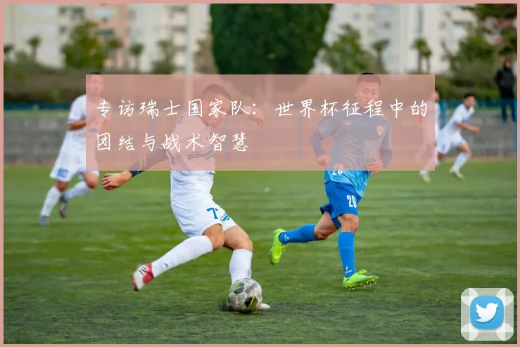 专访瑞士国家队：世界杯征程中的团结与战术智慧