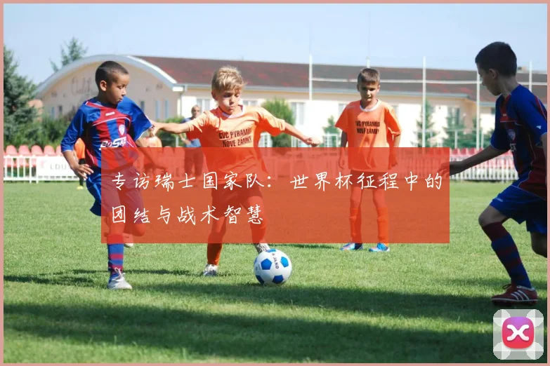 专访瑞士国家队：世界杯征程中的团结与战术智慧