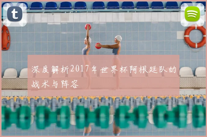 深度解析2017年世界杯阿根廷队的战术与阵容