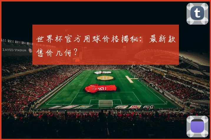 世界杯官方用球价格揭秘:最新款售价几何?